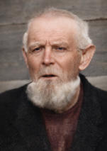 kaashoekgenealogie.nl