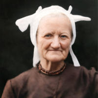 kaashoekgenealogie.nl