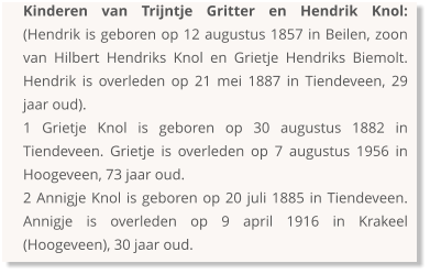 Kinderen van Trijntje Gritter en Hendrik Knol: (Hendrik is geboren op 12 augustus 1857 in Beilen, zoon van Hilbert Hendriks Knol en Grietje Hendriks Biemolt. Hendrik is overleden op 21 mei 1887 in Tiendeveen, 29 jaar oud). 1 Grietje Knol is geboren op 30 augustus 1882 in Tiendeveen. Grietje is overleden op 7 augustus 1956 in Hoogeveen, 73 jaar oud.  2 Annigje Knol is geboren op 20 juli 1885 in Tiendeveen. Annigje is overleden op 9 april 1916 in Krakeel (Hoogeveen), 30 jaar oud.
